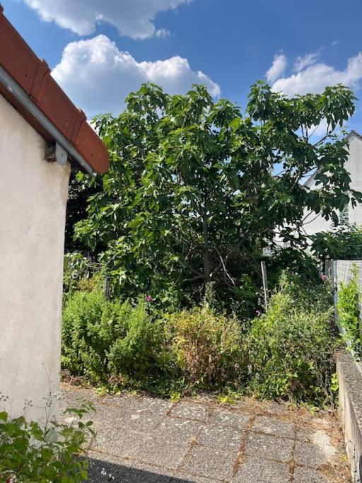 Lovely House Close To Paris Ferienhaus